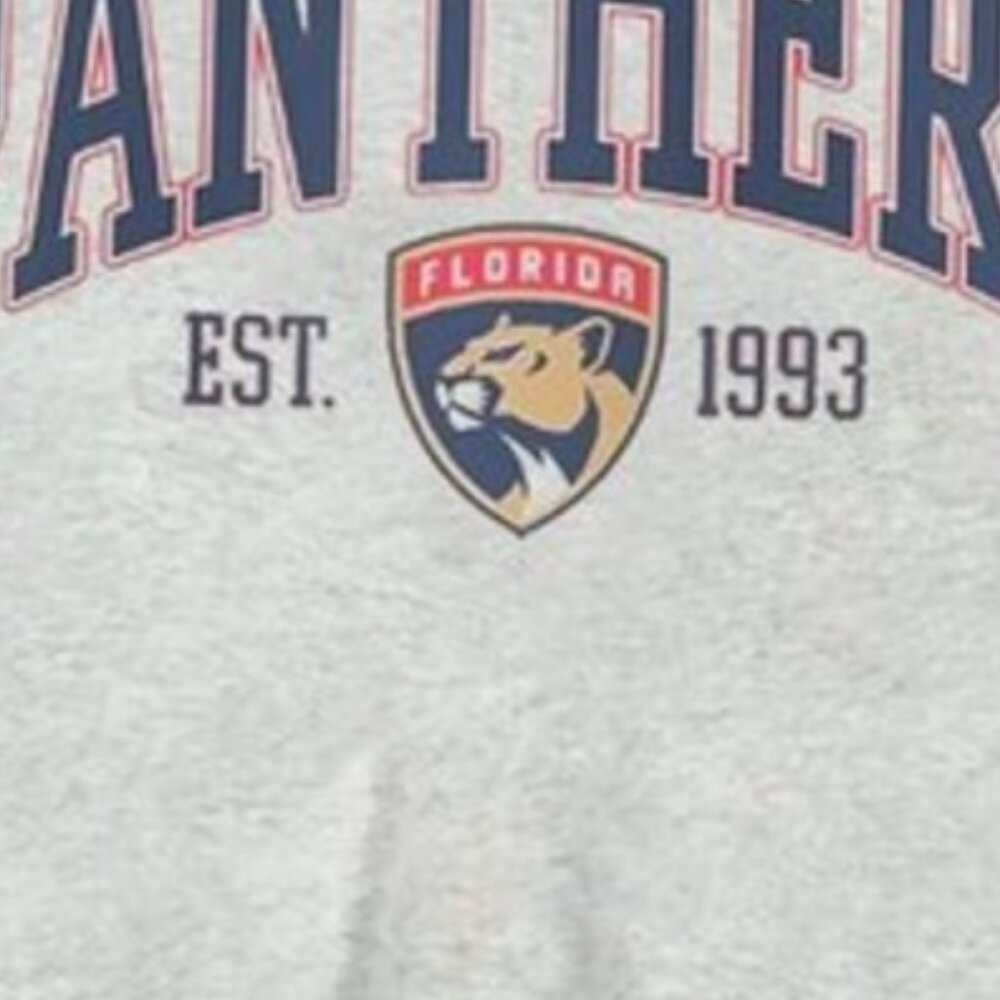 Vtg Florida Panthers Sweatshirt, NHL Panthers Shirt tee, Hockey Sweatshirt - Picture 2 of 4